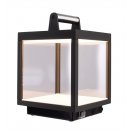 Table lamp outdoor lamp LED lacertae USB 5V 3000 K 460 lm